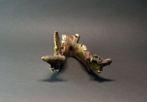 Groaner skull - lower jaw